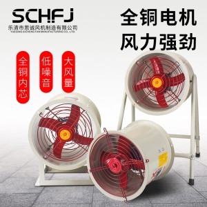 思诚 防爆风机CBF-300防爆排风扇220V/380V图3